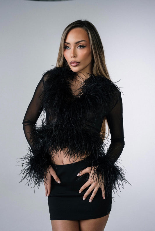 Cher Sheer Feather Blouse in Black