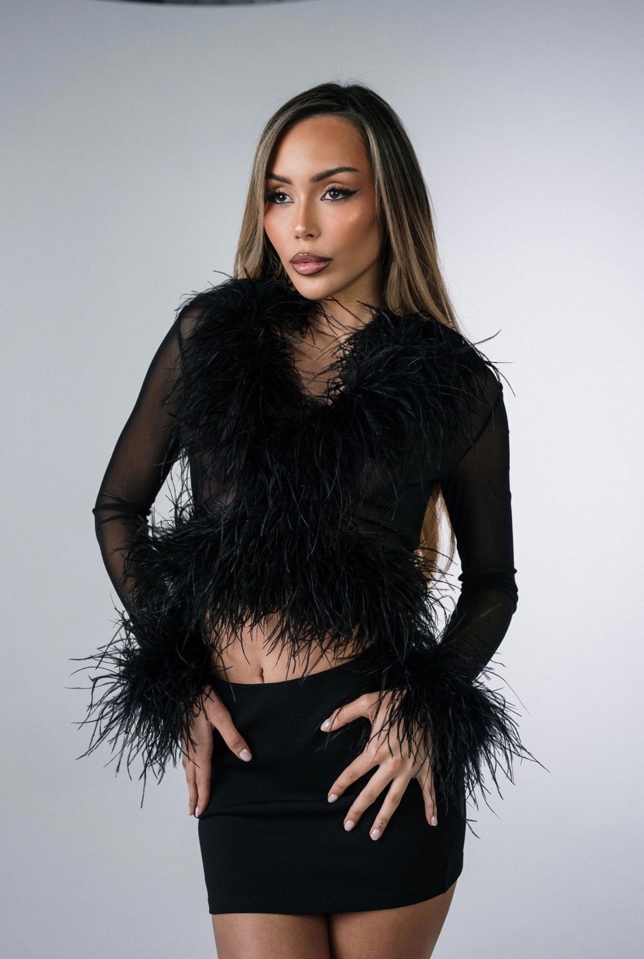 Cher Sheer Feather Blouse in Black